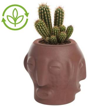 Кашпо из биопластика Threebu Pot Special пустыня Намибии 450х450х450 мм Кашпо из биопластика Threebu Pot Special пустыня Намибии 450х450х450 мм