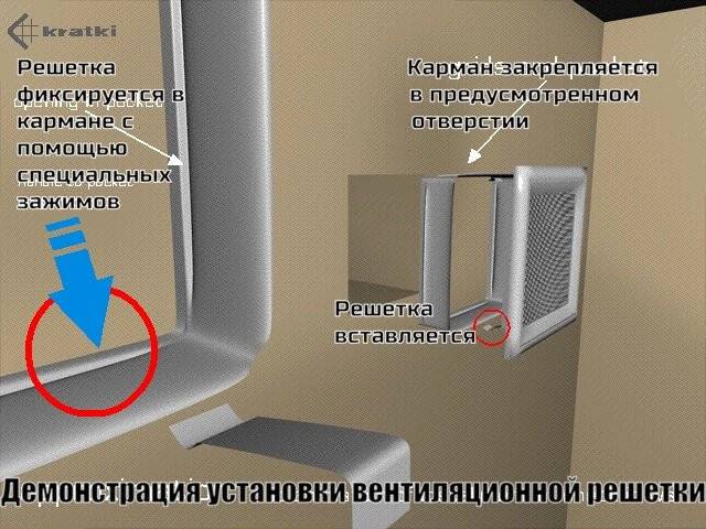 11x11 Venus белая